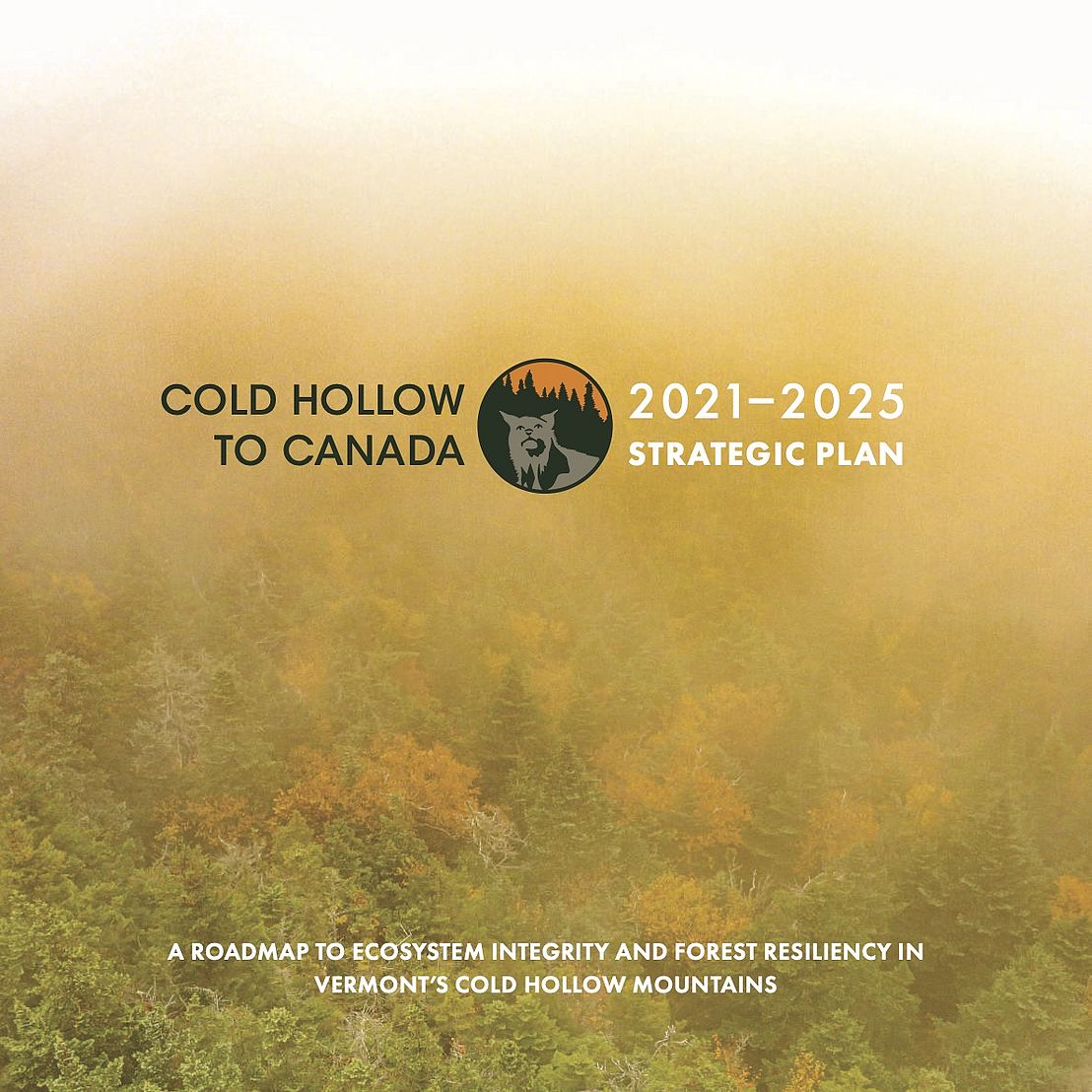 Strategic Plan Cover