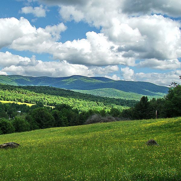 Photo of the Cold Hollow Mountains in summertime.