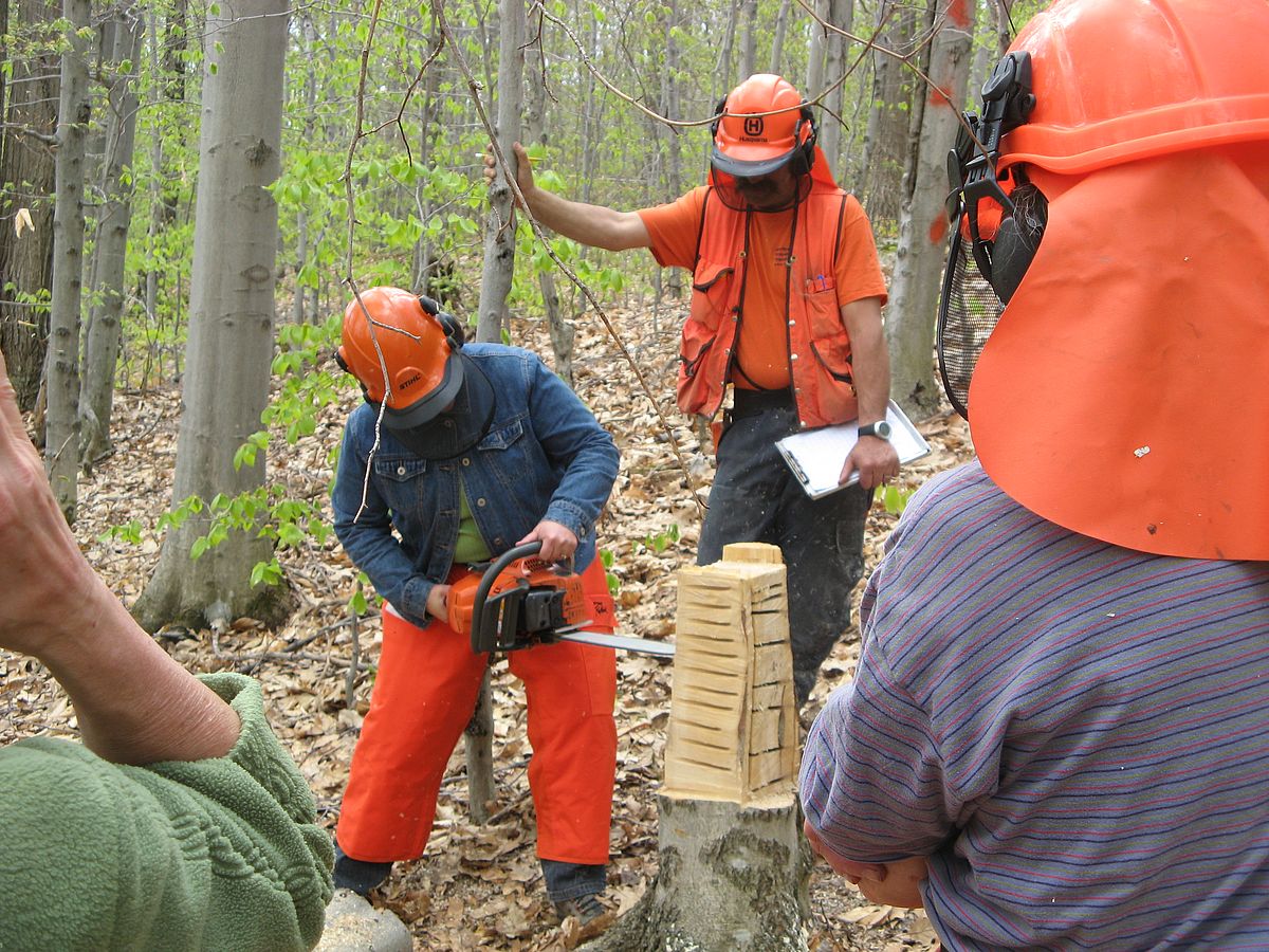 Game of Logging Levels 3 & 4 Cold Hollow to Canada