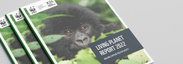 Living Planet Report 2022