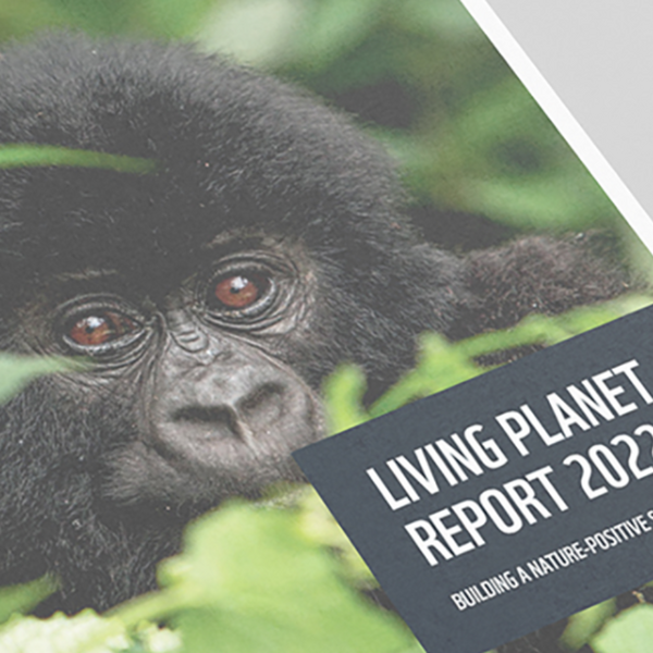Living Planet Report 2022