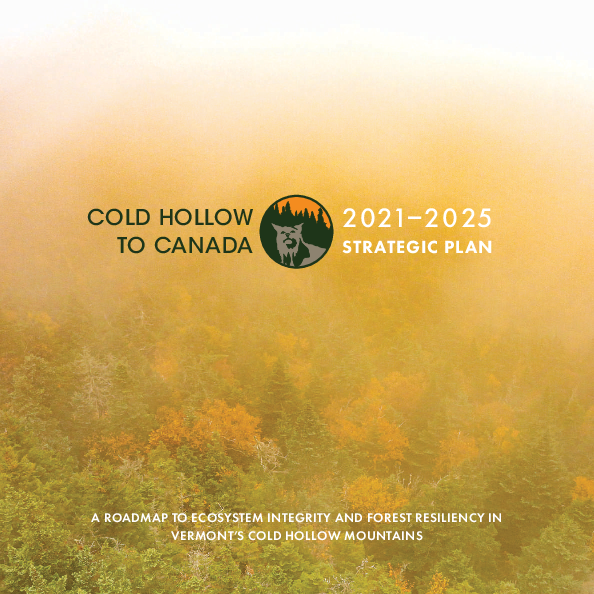 Cold Hollow to Canada Strategic Plan