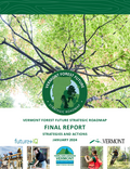 Vermont Forest Future Strategic Roadmap