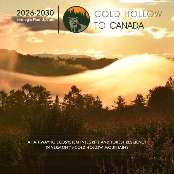 CHC Strategic Plan Update