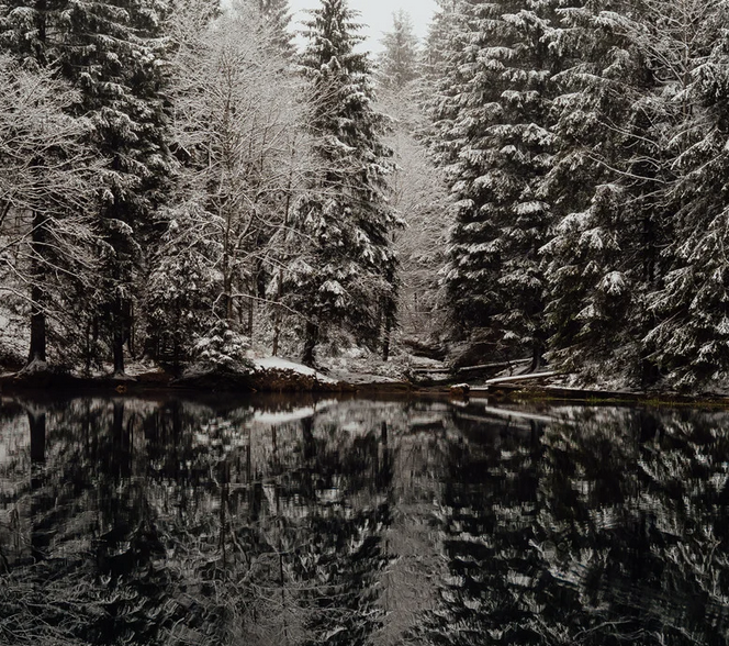 pond in winter